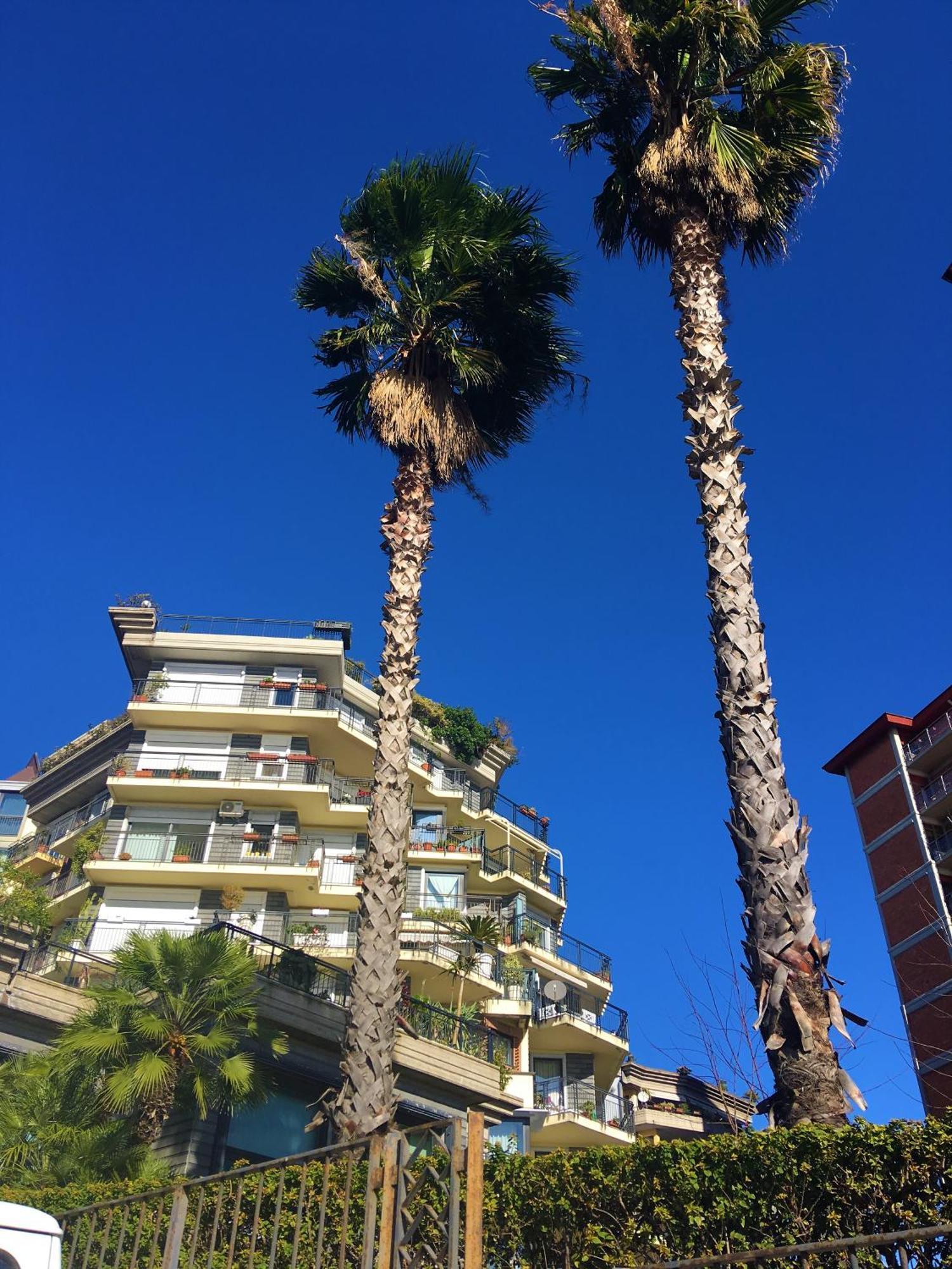 Seafront In The City Hotell Catania Exteriör bild